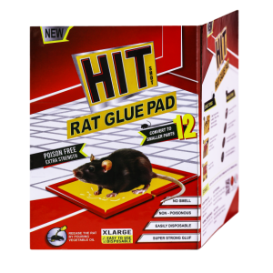 rat glue pad